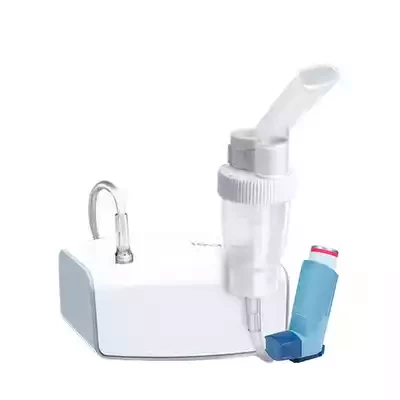 allergy-asthma.webp